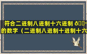 符合二进制八进制十六进制 🐬 的数字（二进制八进制十进制十六进制转换符号口诀）